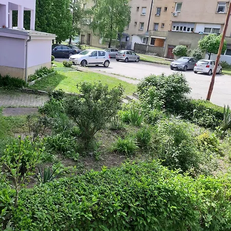 Apartment Nafo *