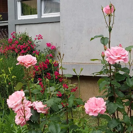 Nafo Apartment Bihac